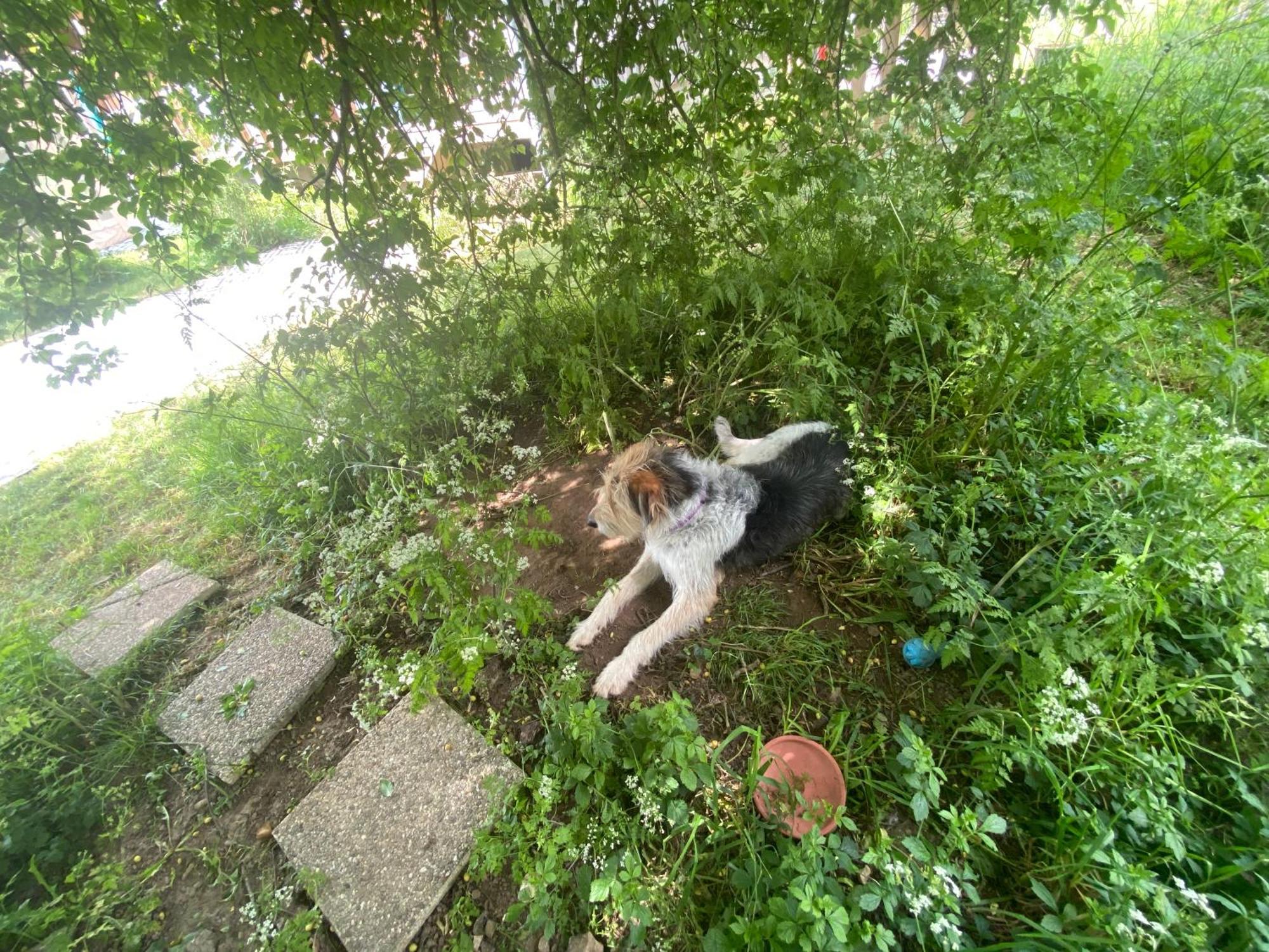 Valojoulx Gite Wildflower Lane מראה חיצוני תמונה