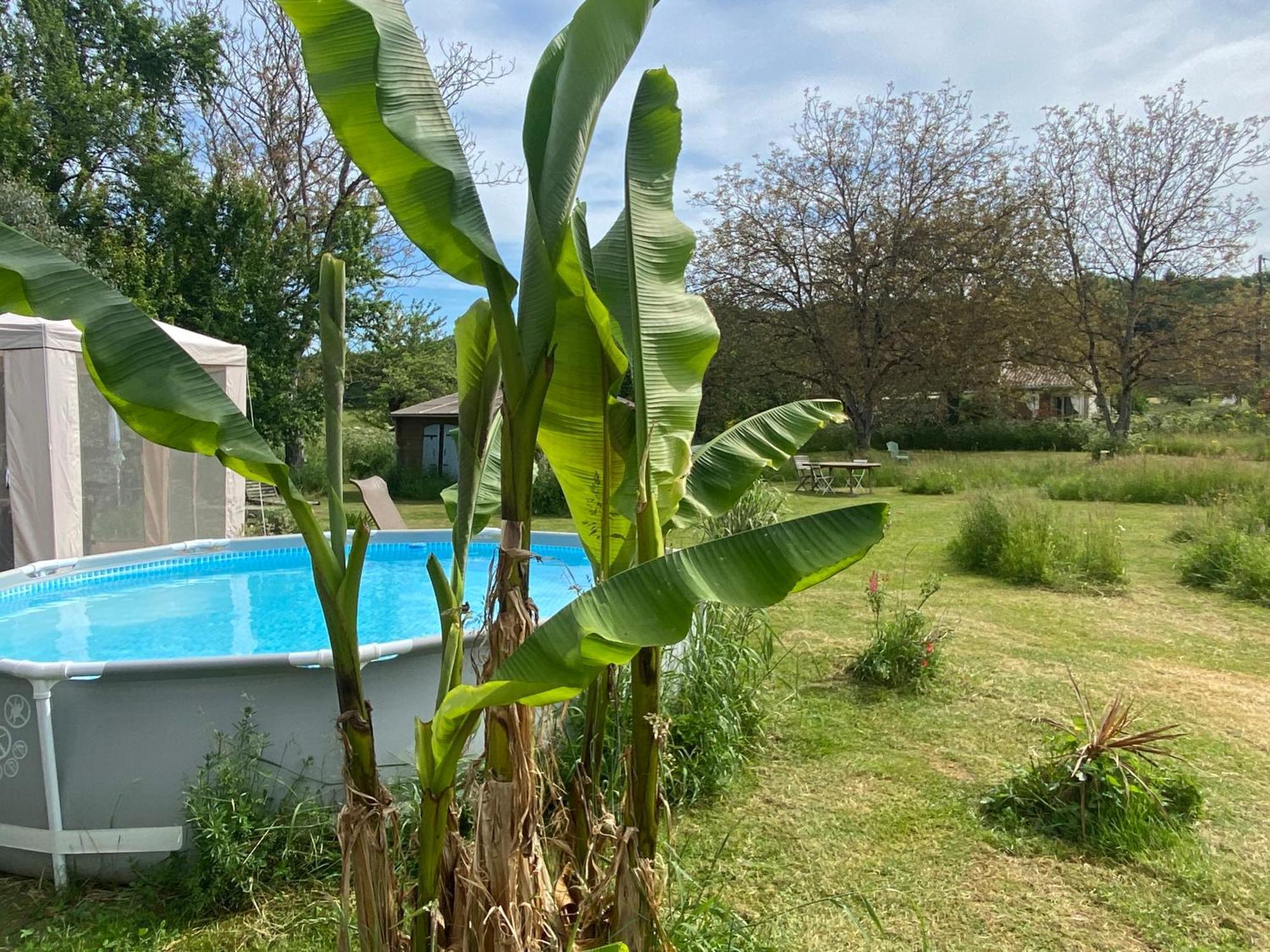 Valojoulx Gite Wildflower Lane מראה חיצוני תמונה